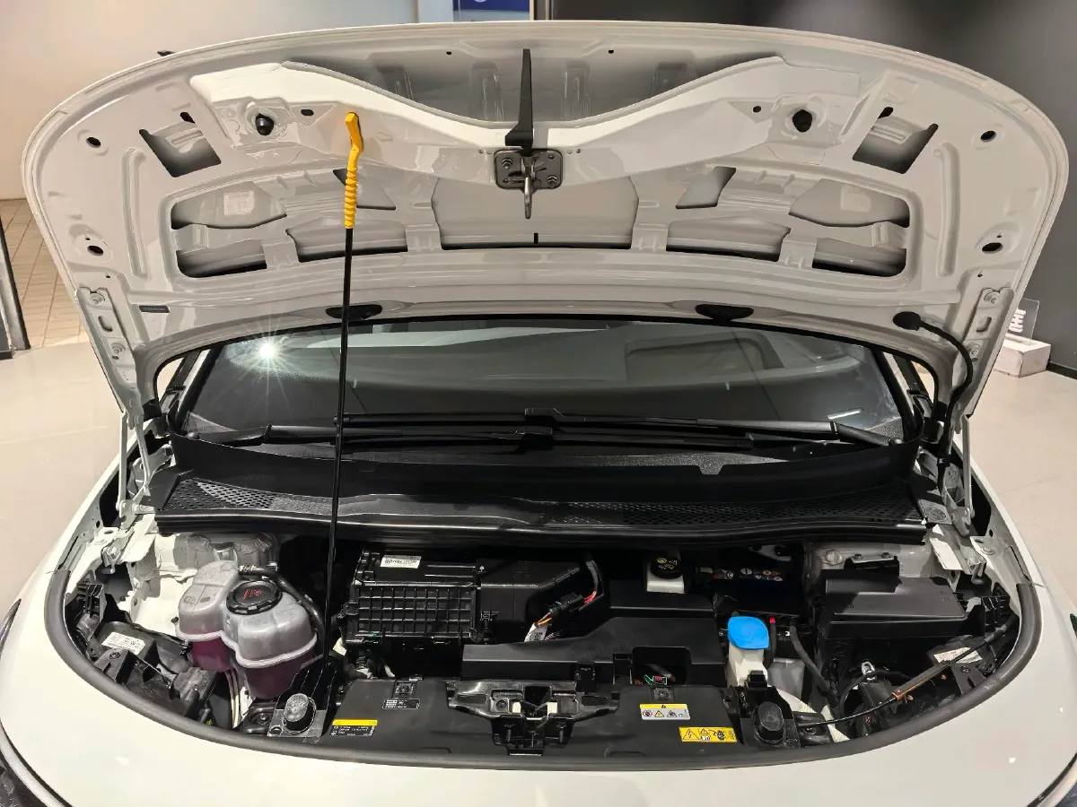 2025 YuanChen Super Van BEV,autocango,china used car exporter,china ev exporter,chinese used car exporter,chinese used ev exporter