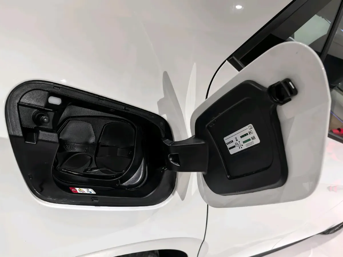 2025 YuanChen Super Van BEV,autocango,china used car exporter,china ev exporter,chinese used car exporter,chinese used ev exporter