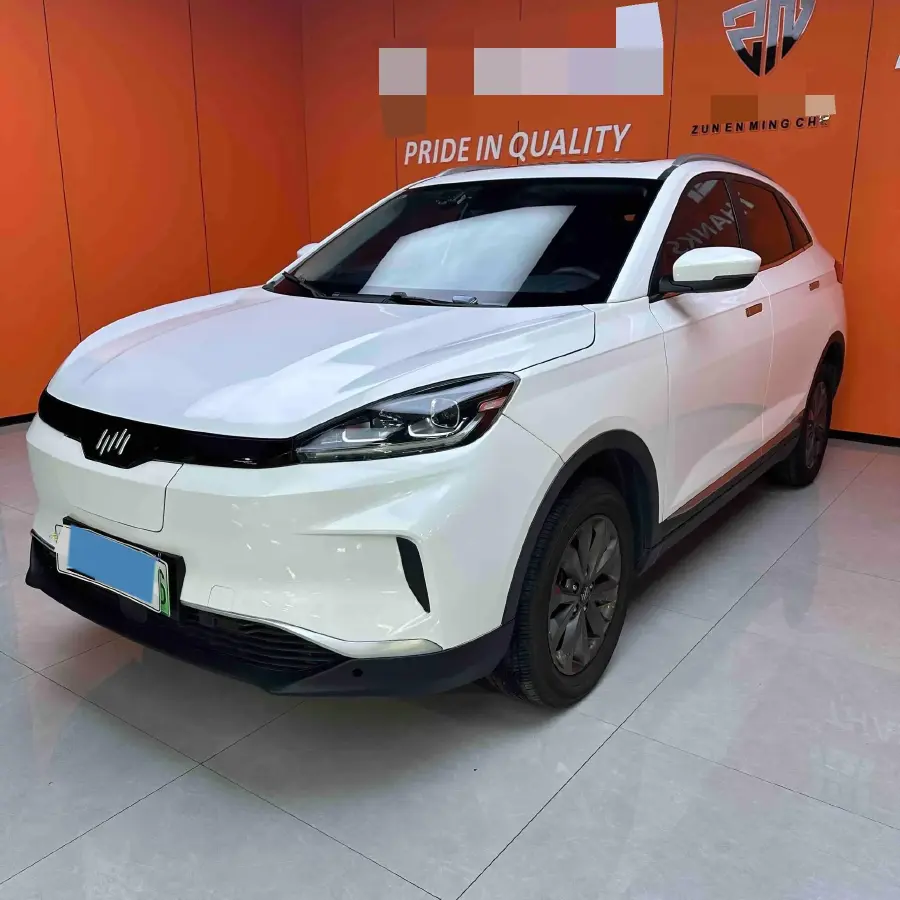 2020 Weltmeister EX5 BEV 52.56KWH