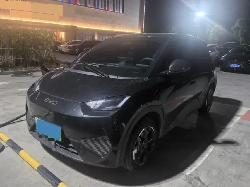 2025 BYD Seagull BEV 30.08KWH