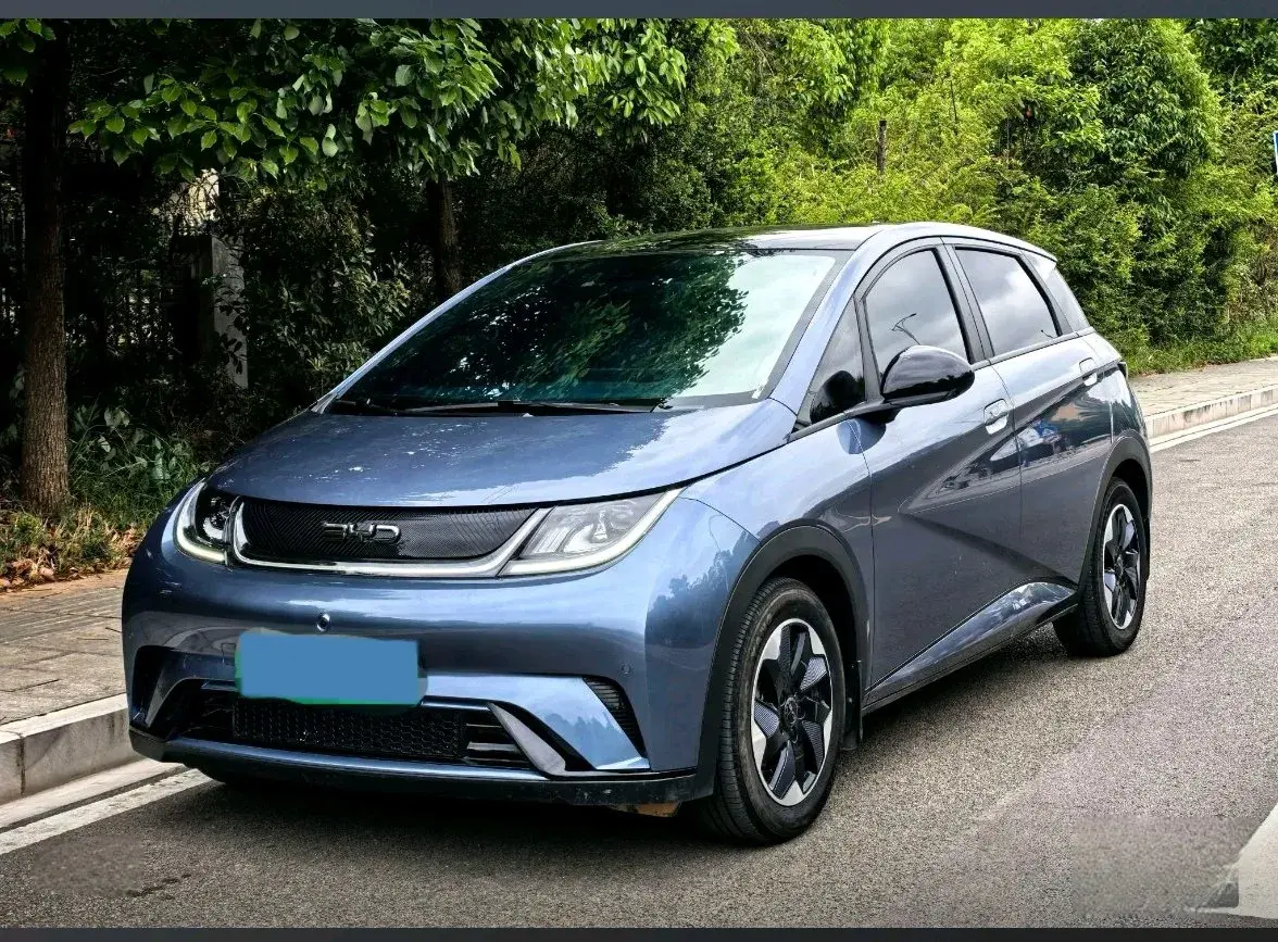 2024 BYD Dolphin BEV 44.928KWH