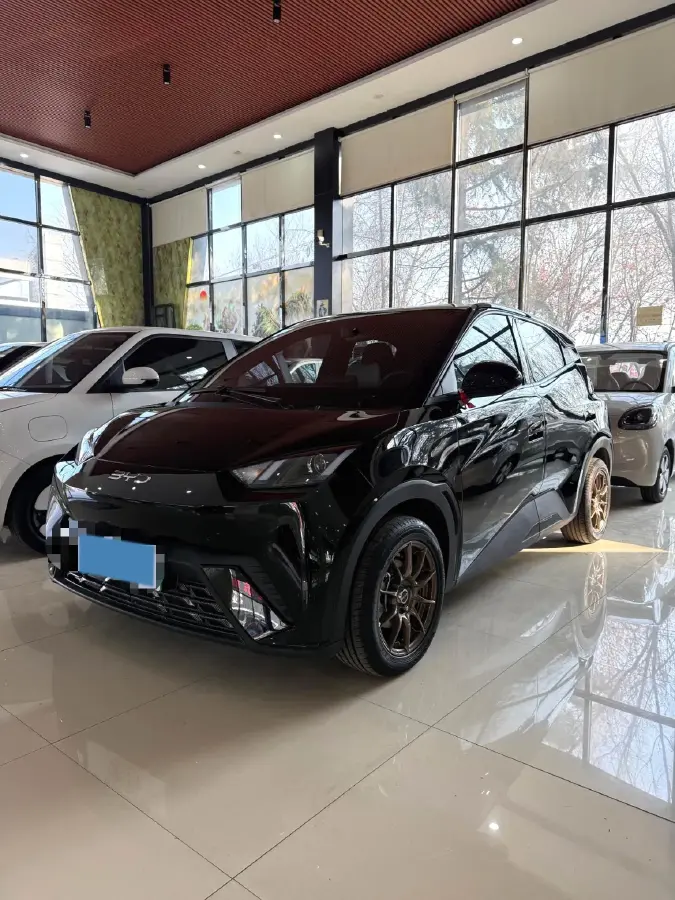 2025 BYD Seagull BEV 30.08KWH