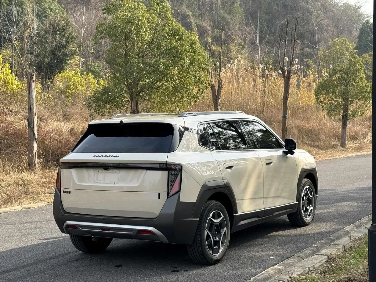 2025 DongFeng Nammi 06 BEV,autocango,china used car exporter,china ev exporter,chinese used car exporter,chinese used ev exporter