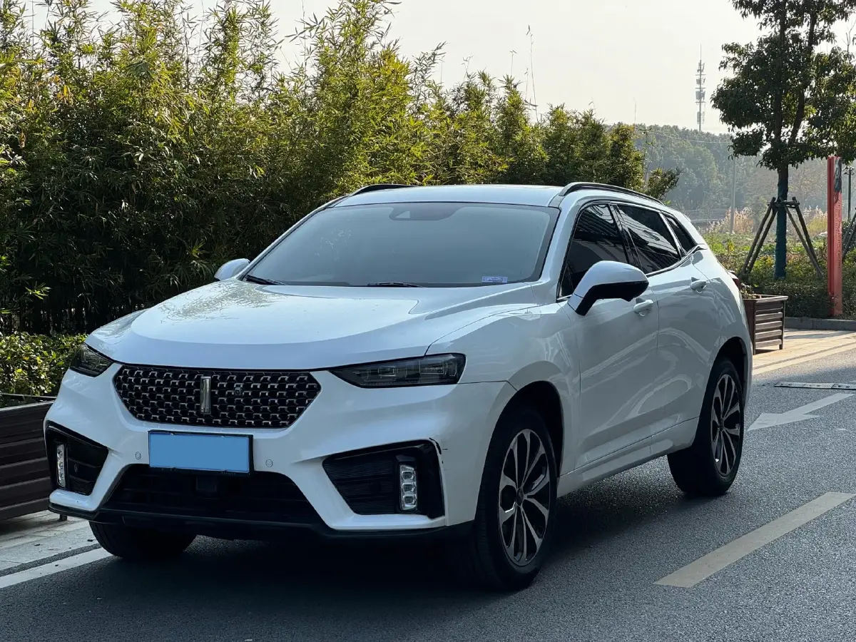 2020 WEY VV7 2.0T 227HP L4 7DCT