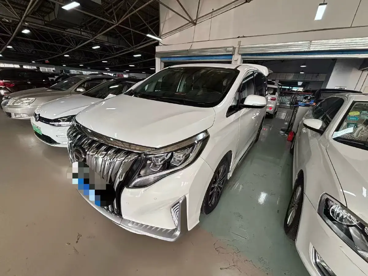 2021 GAC Trumpchi M8 2.0T 252HP L4 8AT