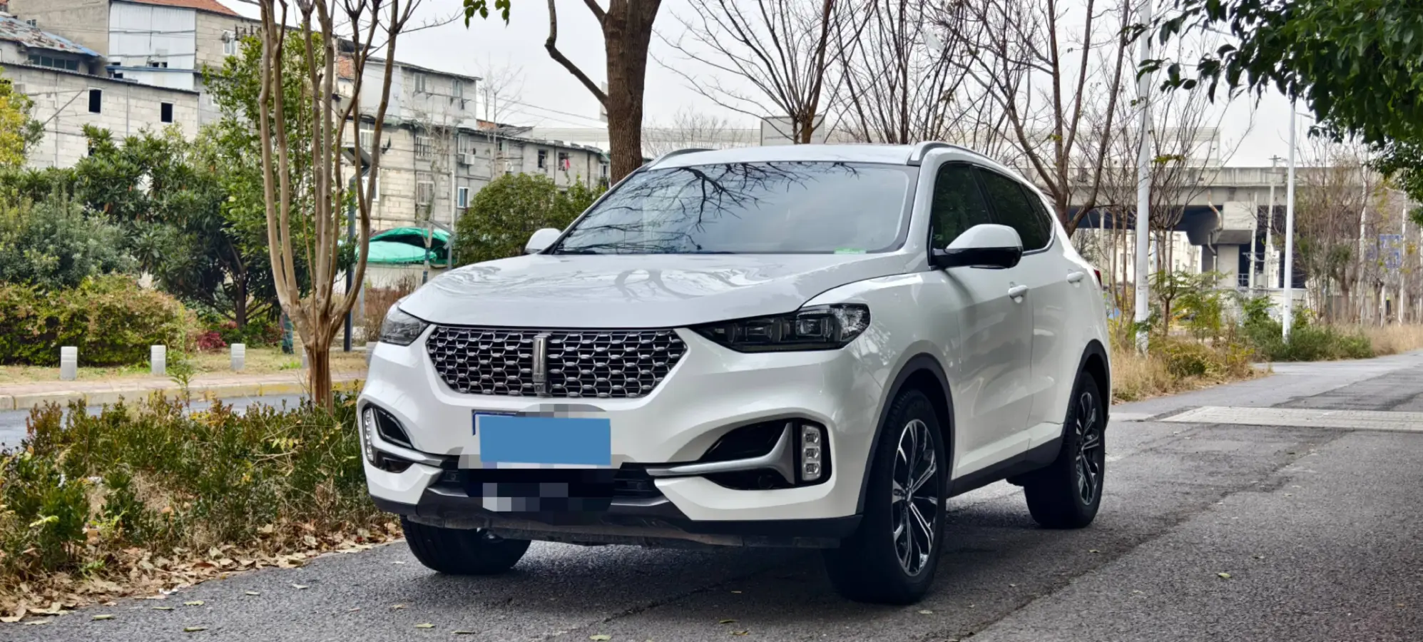 2021 WEY VV6 2.0T 227HP L4 7DCT