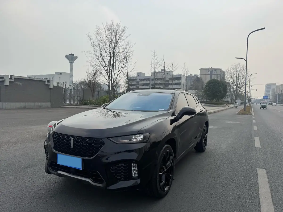 2017 WEY VV7 2.0T 234HP L4 7DCT