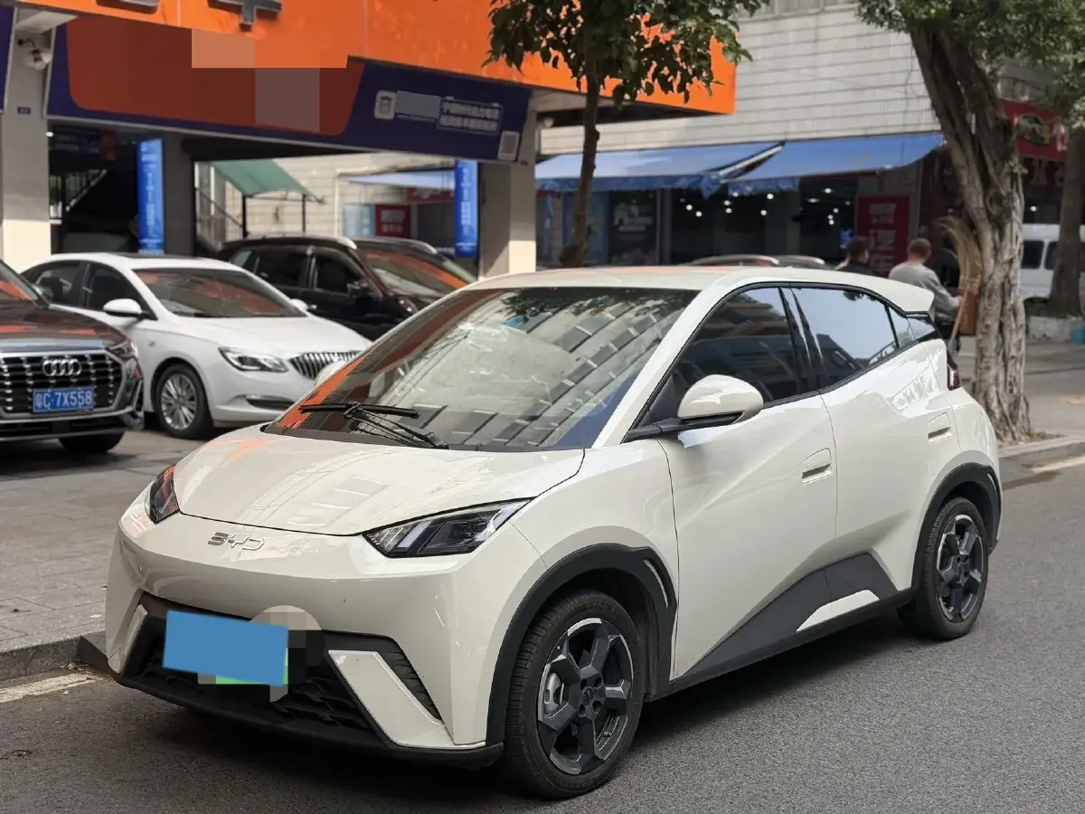 2025 BYD Seagull BEV 38.88KWH