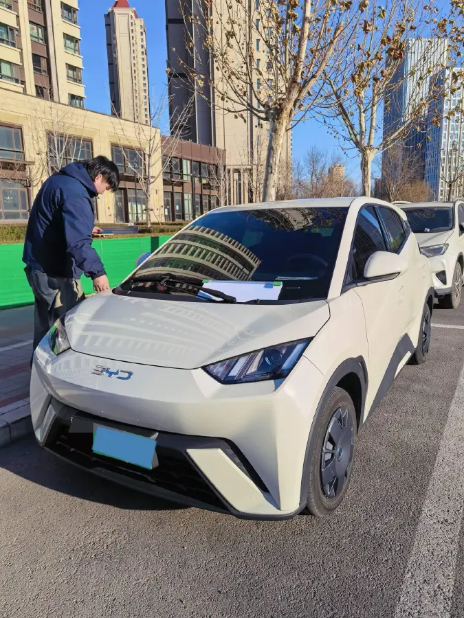 2023 BYD Seagull BEV 30.08KWH