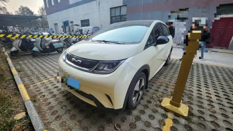 2023 BYD Dolphin BEV 44.928KWH