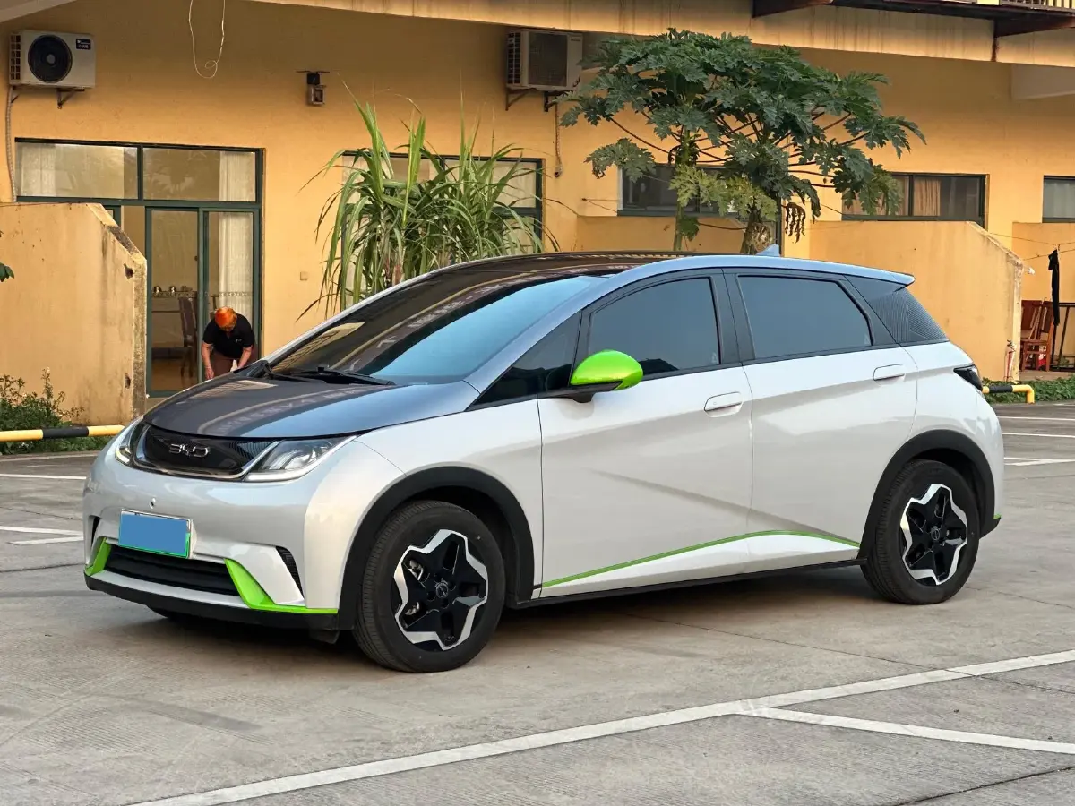 2021 BYD Yuan Pro BEV 50.1KWH