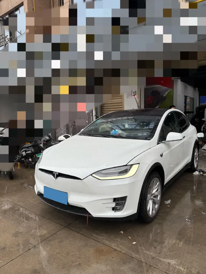 2019 Tesla Model X BEV 100KWH