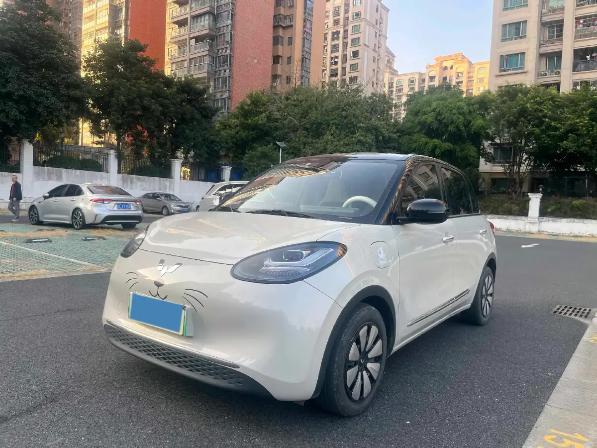 2023 WuLing BinGuo BEV 31.9KWH