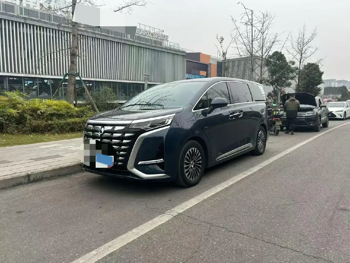 2023 Denza N8 1.5T 139HP L4 E-CVT PHEV 45.8KWH