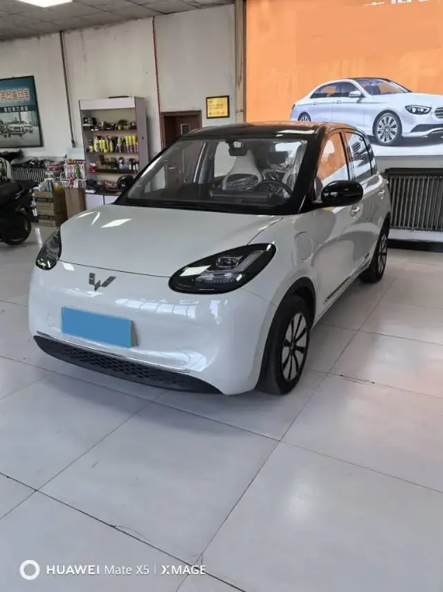 2023 WuLing BinGuo BEV 31.9KWH