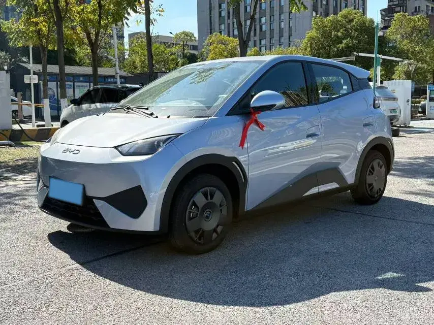 2025 BYD Seagull BEV 30.08KWH