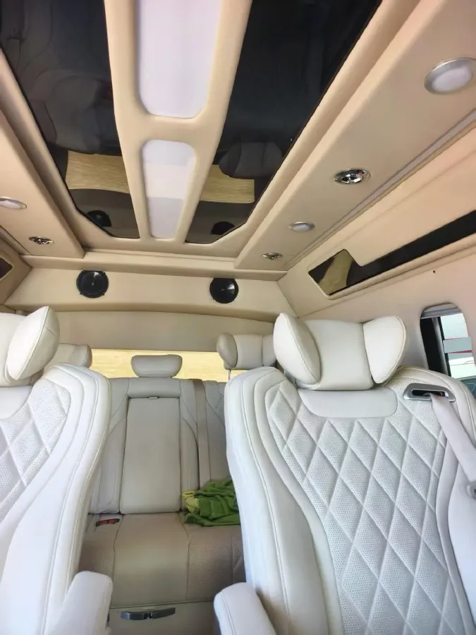 2019 Golden Dragon Sea Lion BEV 51.67KWH,autocango,china used car exporter,china ev exporter,chinese used car exporter,chinese used ev exporter