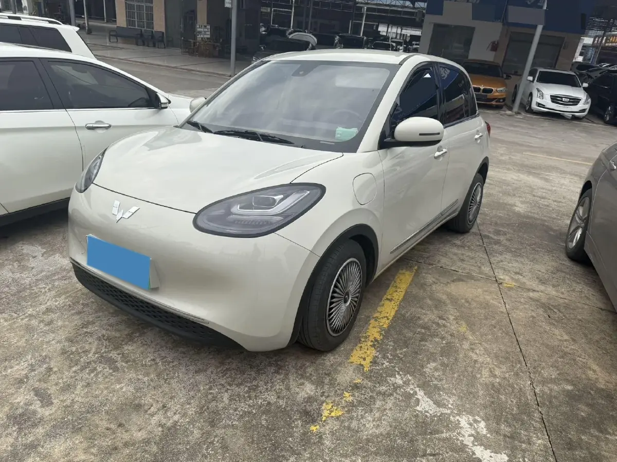 2023 WuLing BinGuo BEV 31.9KWH