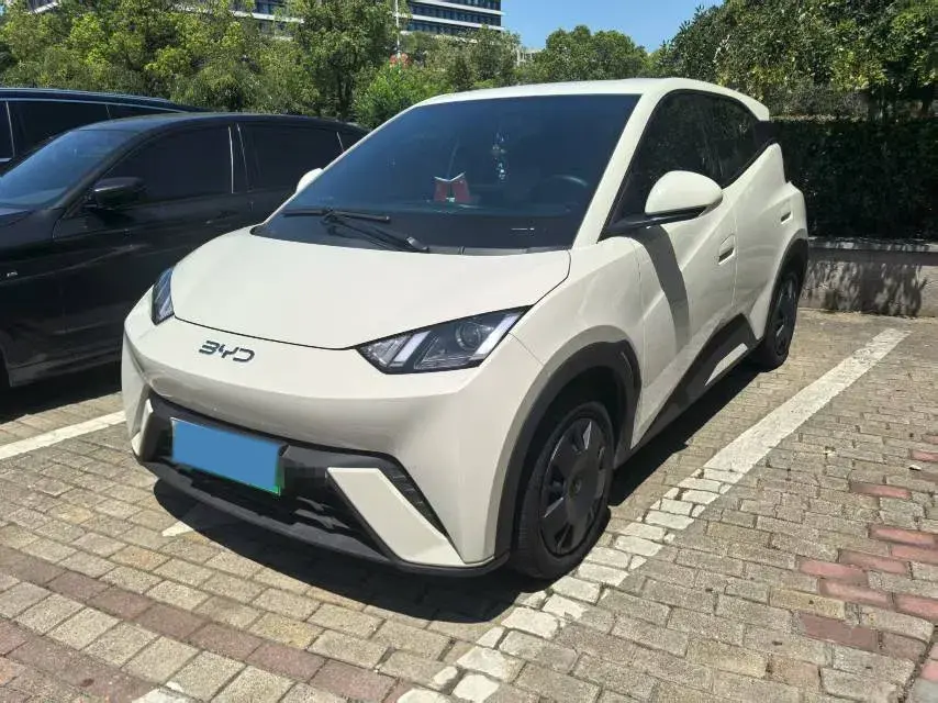2025 BYD Seagull BEV 30.08KWH