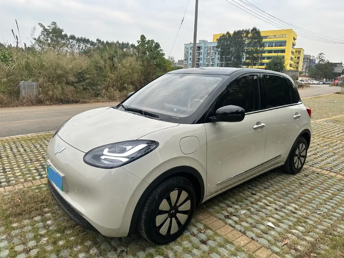 2025 WuLing BinGuo BEV