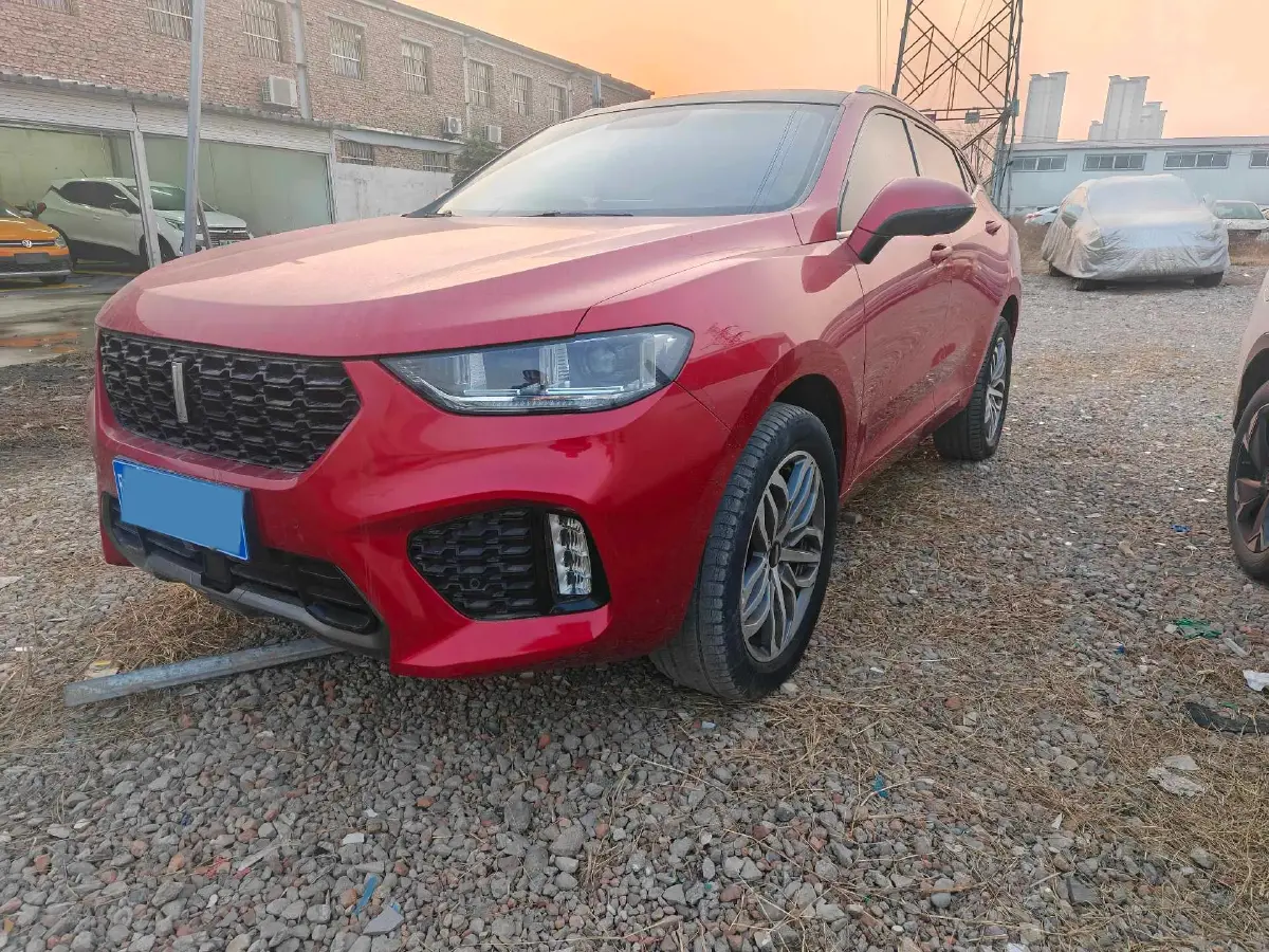 2019 WEY VV5 2.0T 224HP L4 7DCT