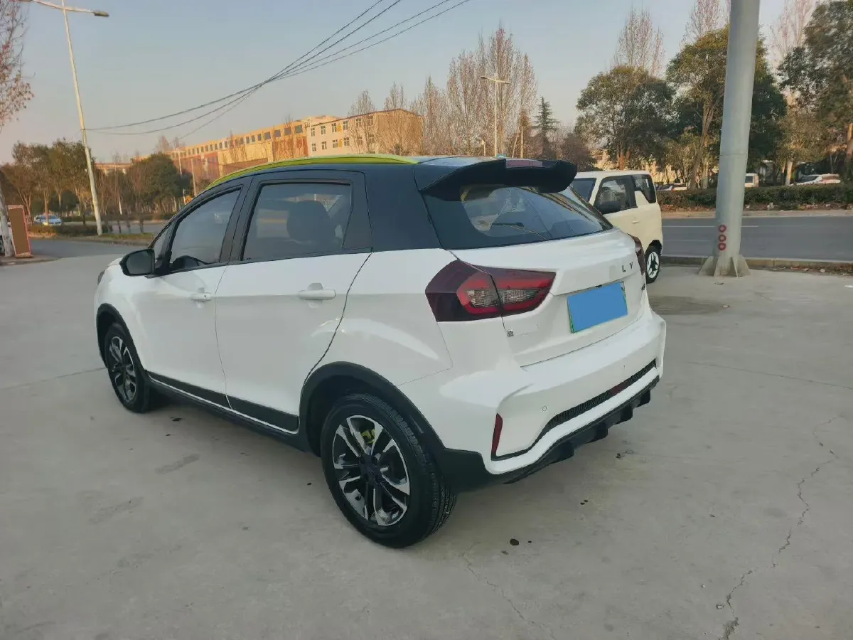 2021 Geometry EX3 BEV 37.23KWH,autocango,china used car exporter,china ev exporter,chinese used car exporter,chinese used ev exporter