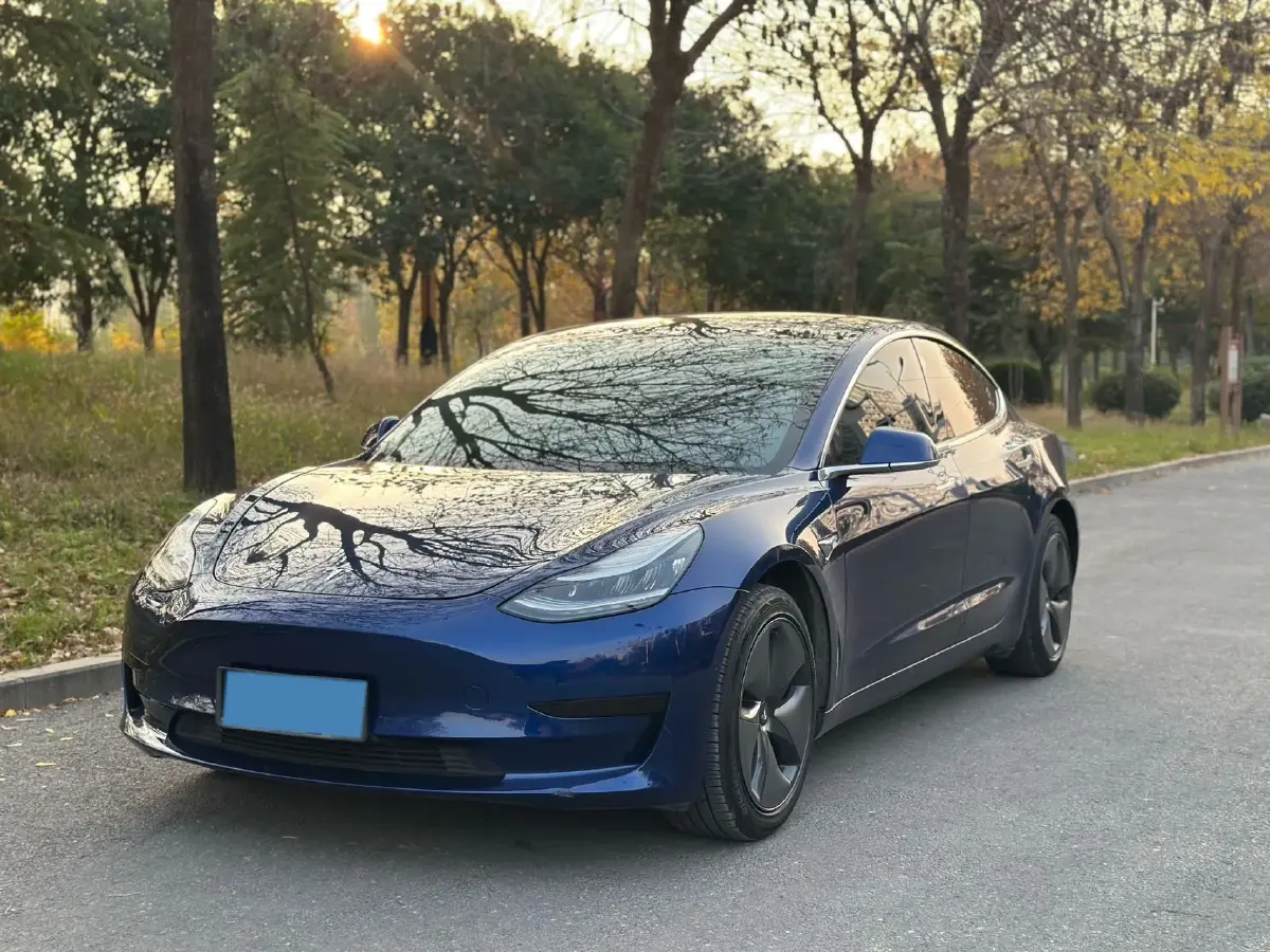2019 Tesla Model 3 BEV 60KWH
