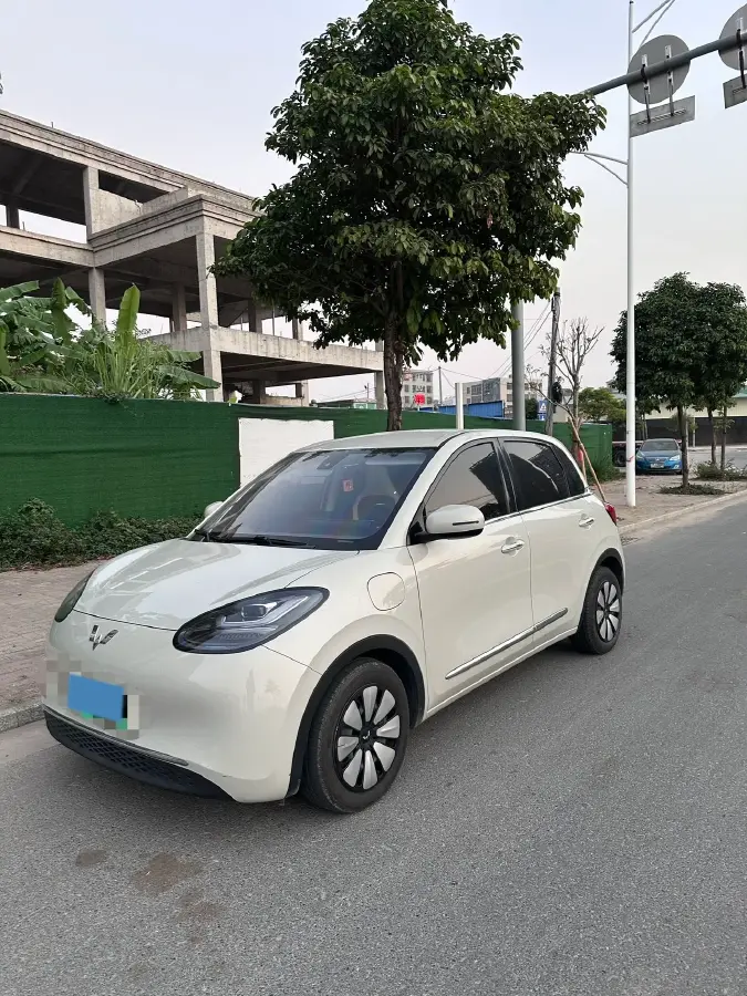 2023 WuLing BinGuo BEV 31.9KWH