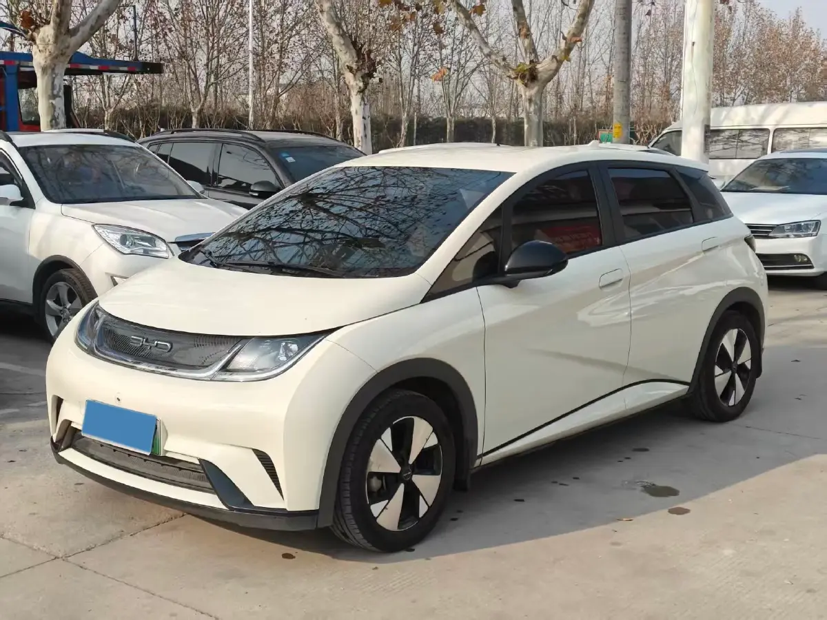 2023 BYD Dolphin BEV 44.928KWH