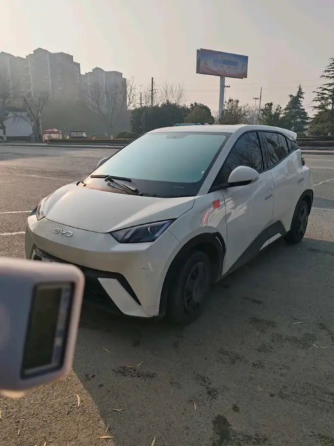 2024 BYD Seagull BEV 30.08KWH