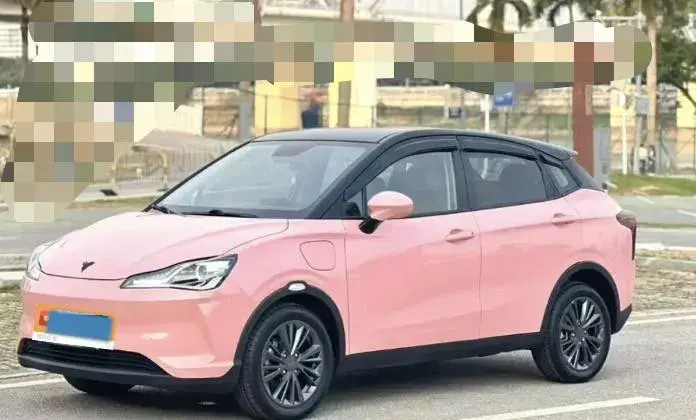 2021 Neta V BEV 31.18KWH