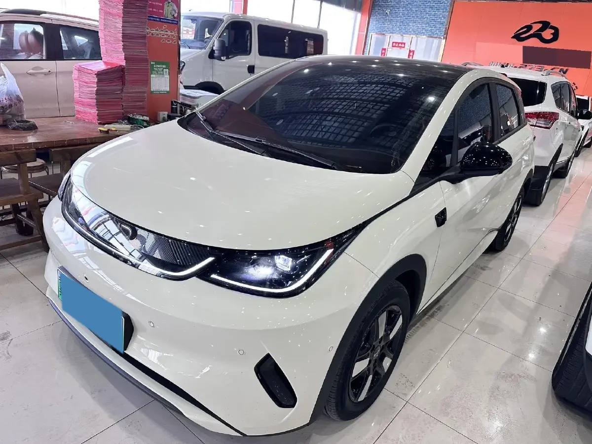 2025 BYD Dolphin BEV 45.12KWH