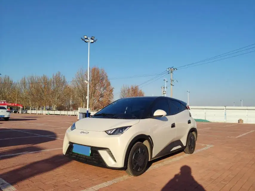 2025 BYD Seagull BEV 30.08KWH