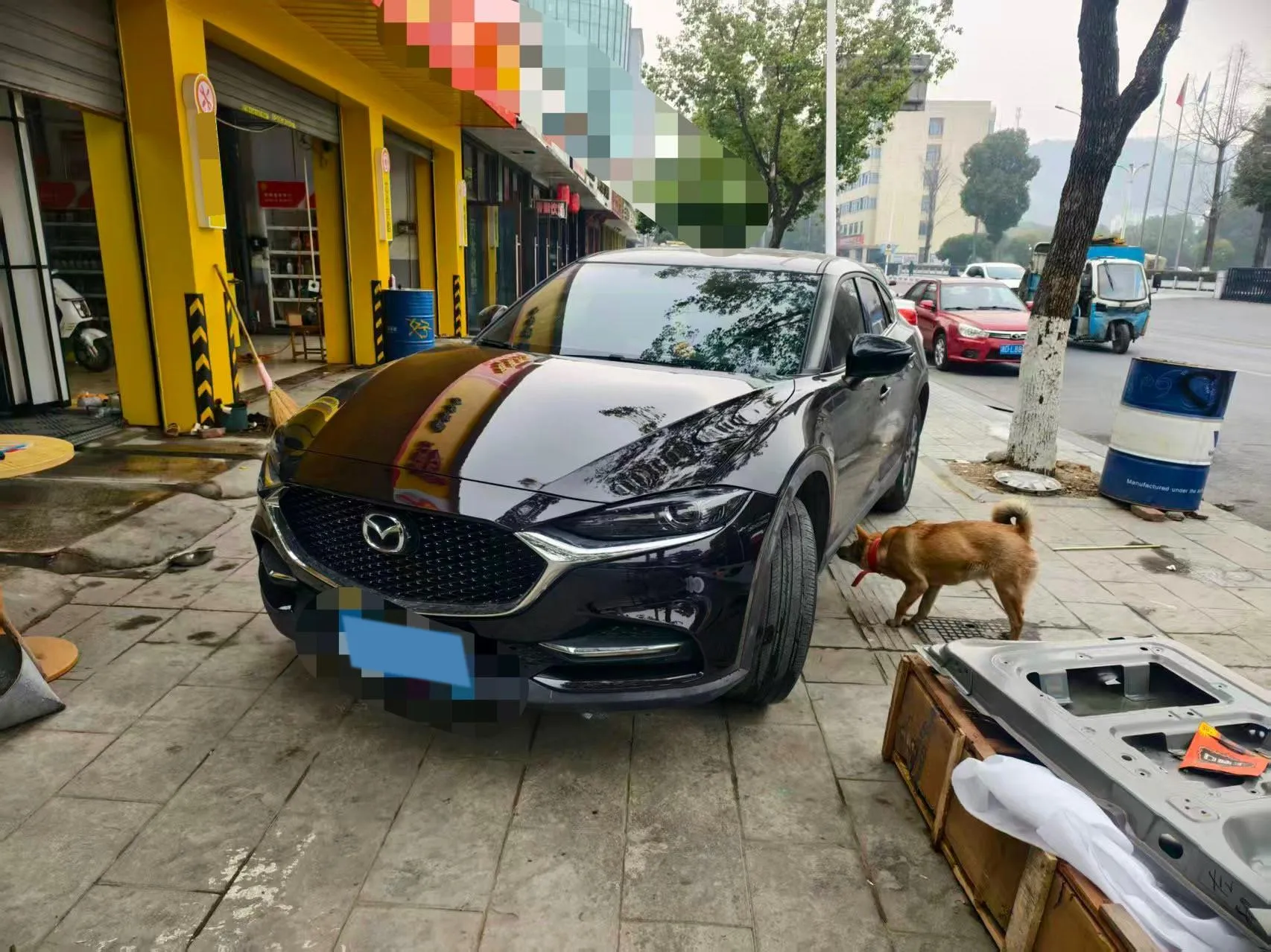 autocango,china used car exporter,china ev exporter,chinese used car exporter,chinese used ev exporter