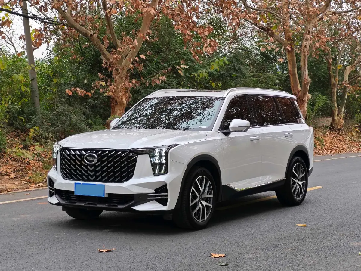 2022 GAC Trumpchi GS8 2.0T 252HP L4 8AT