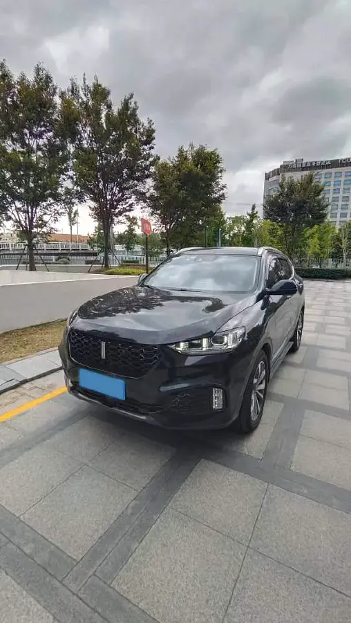 2017 WEY VV5 2.0T 197HP L4 7DCT