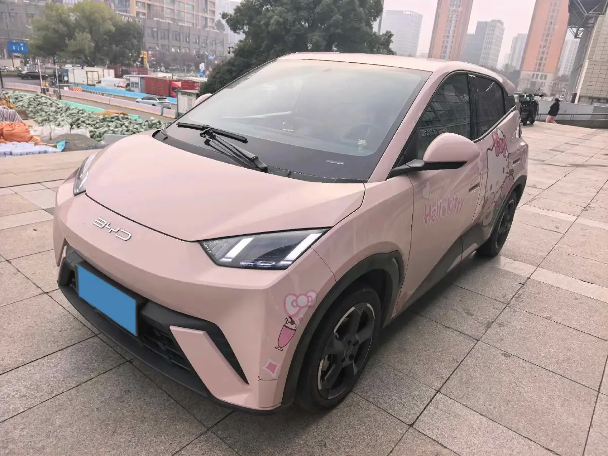 2023 BYD Yuan Pro BEV 38KWH