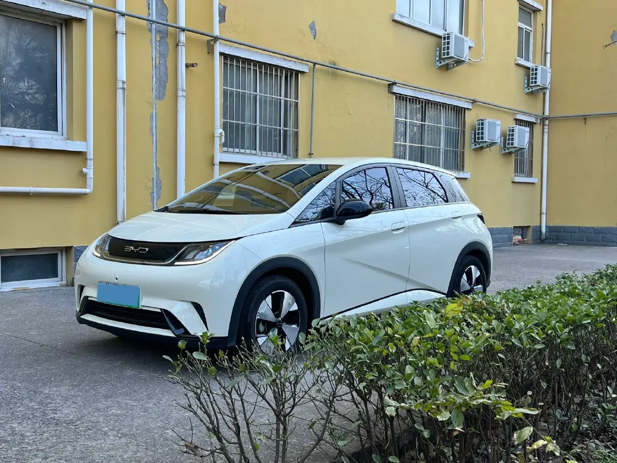 2023 BYD Dolphin BEV 44.928KWH