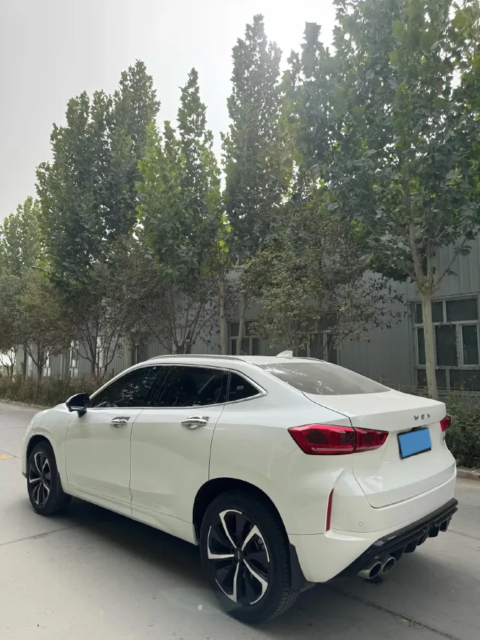 2020 WEY VV7 GT 2.0T 227HP L4 7DCT,autocango,china used car exporter,china ev exporter,chinese used car exporter,chinese used ev exporter