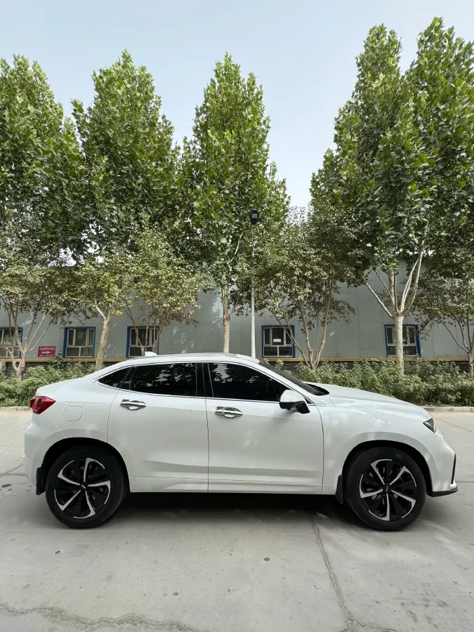 2020 WEY VV7 GT 2.0T 227HP L4 7DCT,autocango,china used car exporter,china ev exporter,chinese used car exporter,chinese used ev exporter