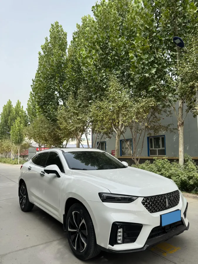 2020 WEY VV7 GT 2.0T 227HP L4 7DCT,autocango,china used car exporter,china ev exporter,chinese used car exporter,chinese used ev exporter