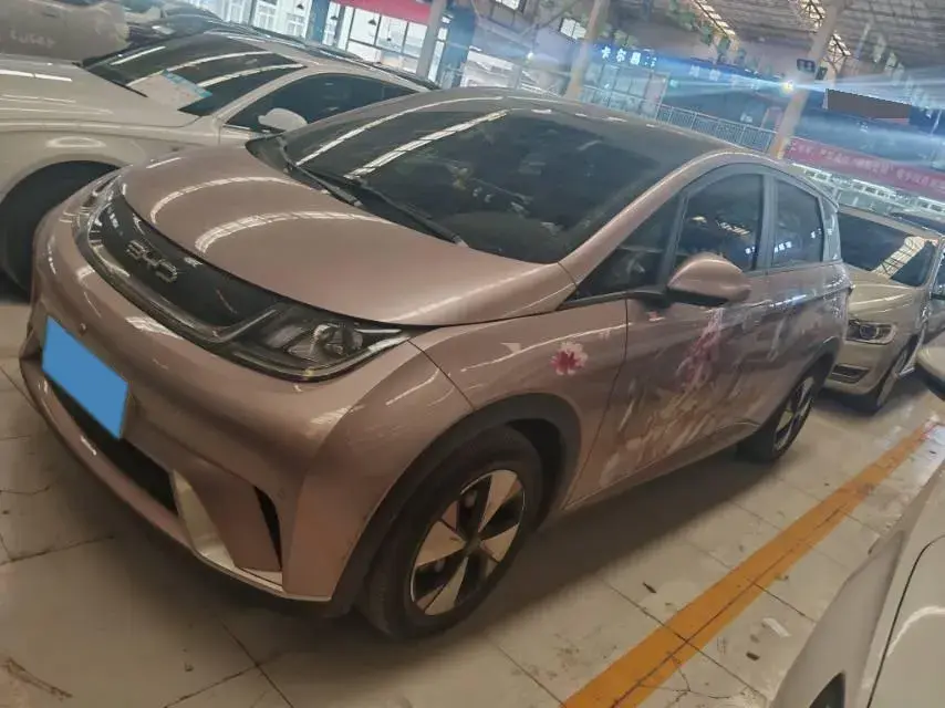 2023 BYD Dolphin BEV 44.928KWH