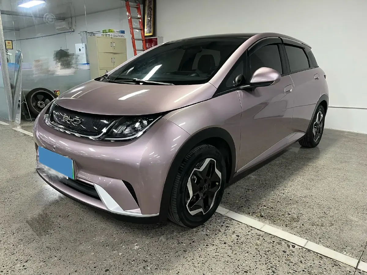 2021 BYD Yuan Pro BEV 50.1KWH