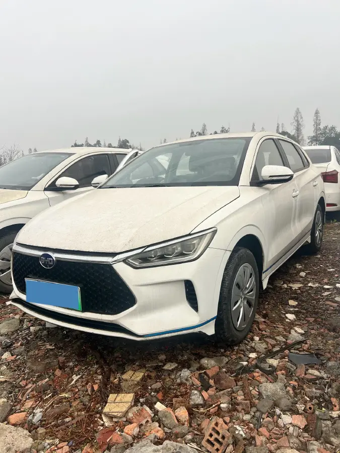 2019 BYD Yuan BEV 42KWH