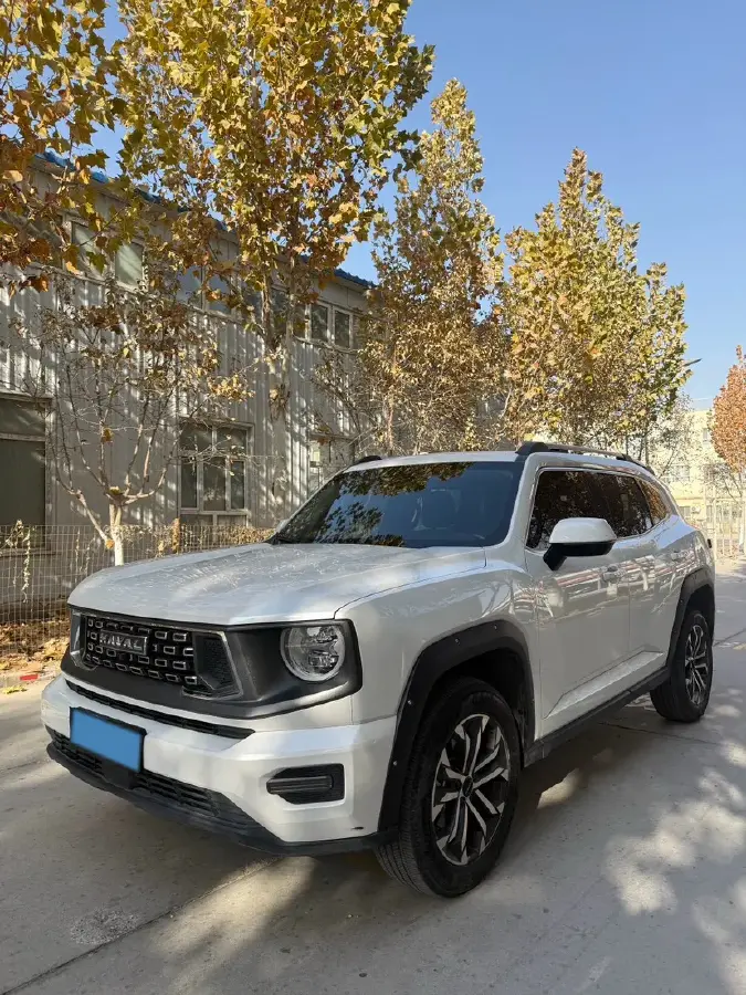 2023 Haval Dargo PLUS 2.0T 238HP L4 9DCT