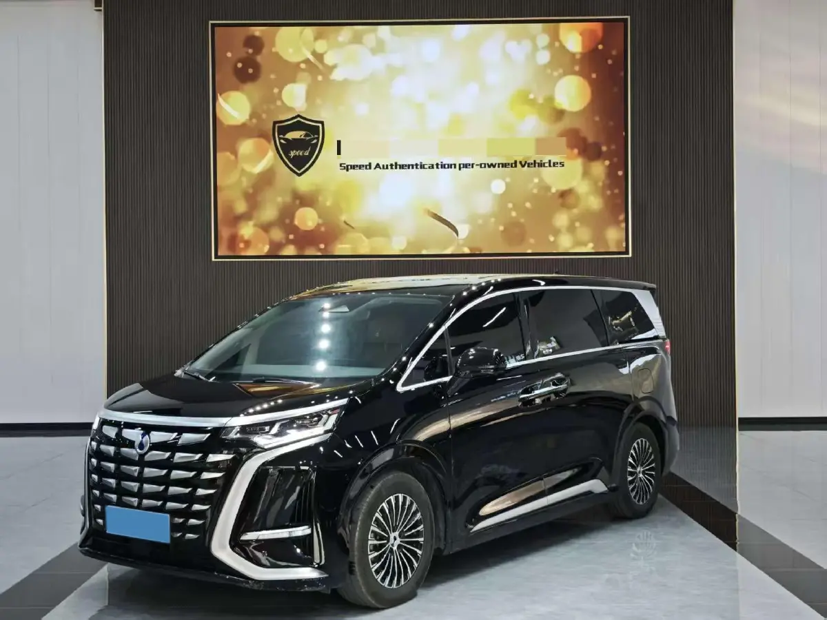 2024 Denza D9 1.5T 139HP L4 E-CVT PHEV 40KWH