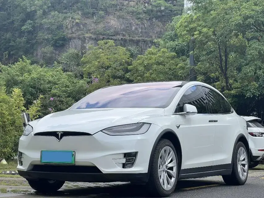 2017 Tesla Model X BEV 100KWH