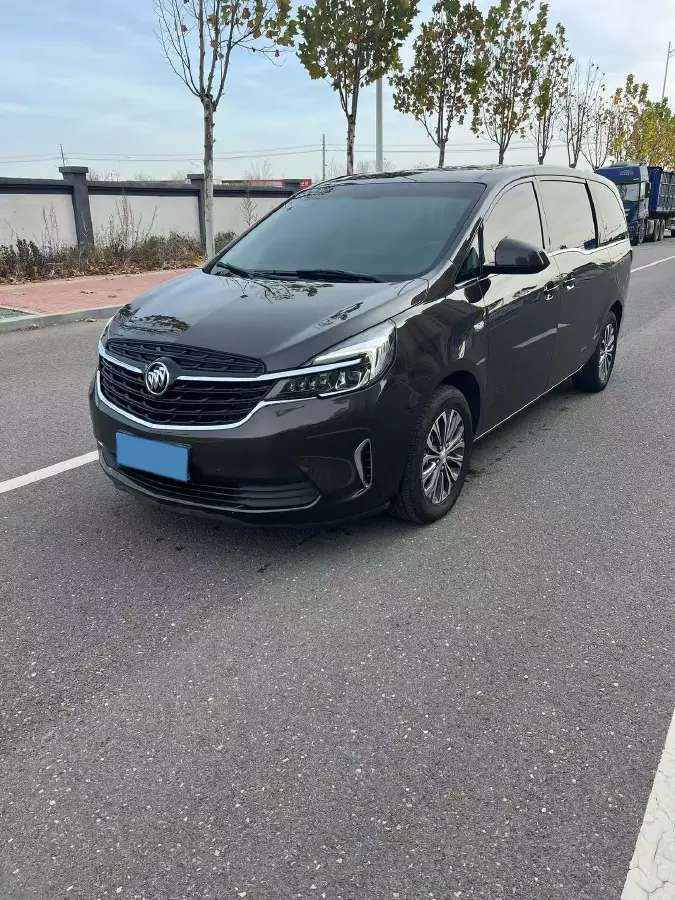 2021 Buick GL8 2.0T 237HP L4 9AT