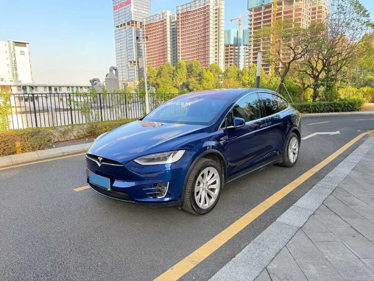 2019 Tesla Model X BEV 100KWH