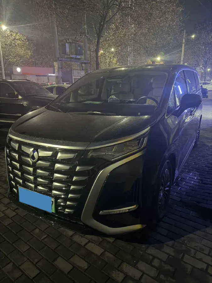 2024 Denza D9 1.5T 139HP L4 E-CVT PHEV 40KWH